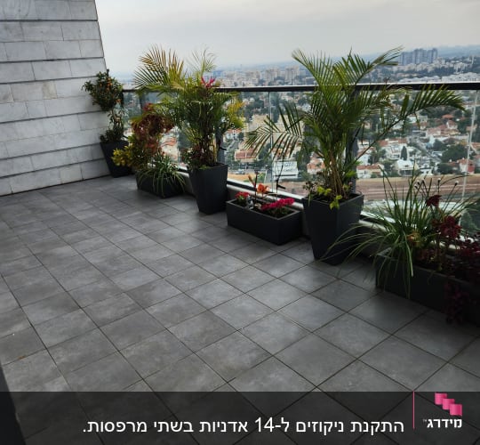 עציצים עם צמחים ירוקים ופרחים במרפסת